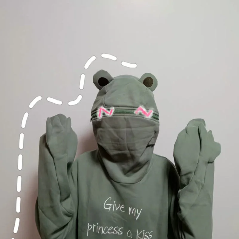 Cute frog hooded sweater YV43524